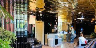 Jfk Inn New York Zimmer foto